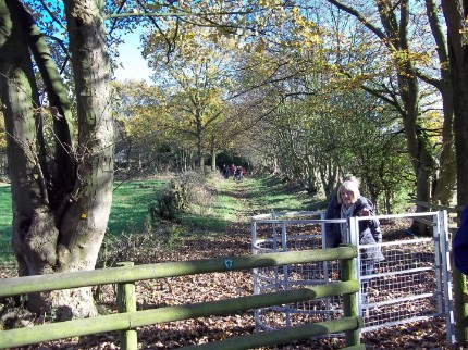 Autumnal Fulford Village Walk November 2011