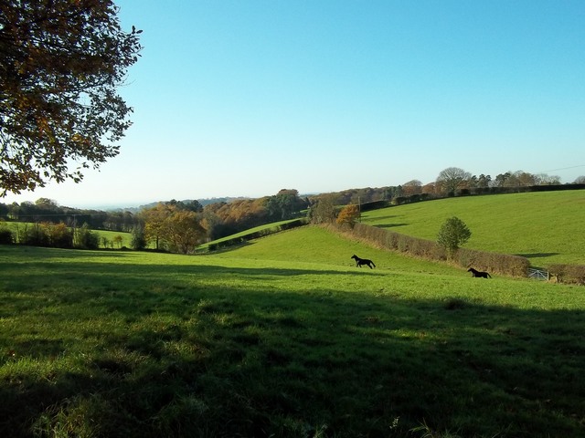 November 2011 Walk - down to Idlerocks