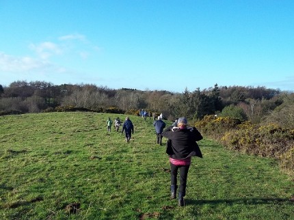 January 2012 Walk